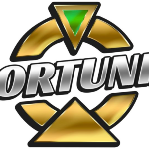 Pack 500 Fortu-coins